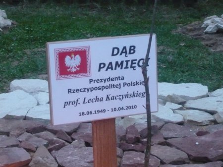D�by Pami�ci - Ka�k�w 2010