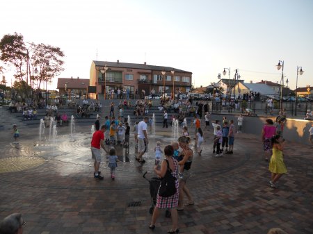 otwarcie rynku w osieku